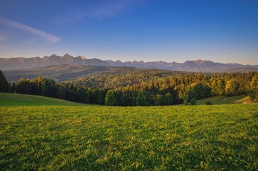 Beautiful spring landscape. Green glade against the backdrop of high mountains.