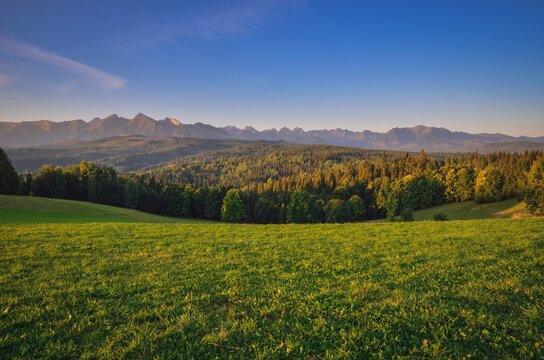 Beautiful spring landscape. Green glade against the backdrop of high mountains.