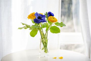 Fresh flower bouquet with blue and yellow ranunculus on a white table next to a window with light...