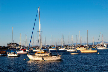 Fototapeta premium A bunch of boats settling for the evening