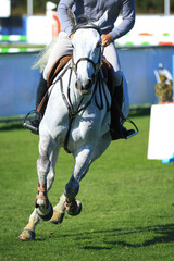 Obraz na płótnie Canvas Turnier Pferd im Galopp