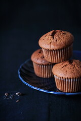 Chocolate muffins on a plate