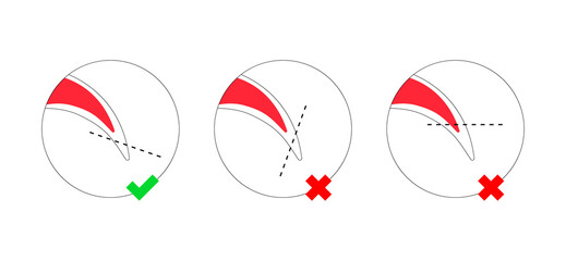 Dog nail trimming guide colorful outline icons set. Pet claws cutting instruction with cut line