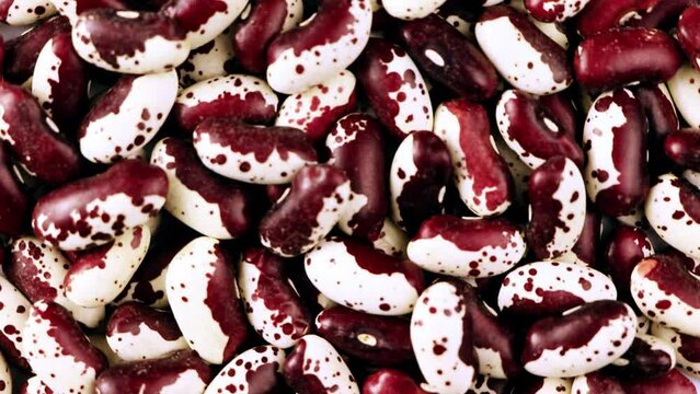 Red Anasazi Beans. Spotted beans.Kidney beans.Haricot beans.