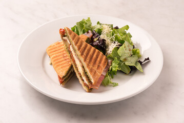 chicken supreme sandwich with salad