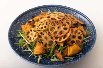 蓮根チップスと素揚げ野菜のサラダ