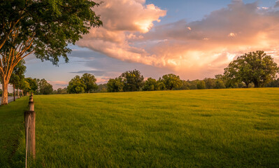 Afternoon By Field with Fenceline Panorama