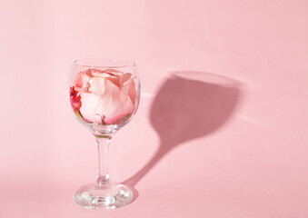 Spring rose flower in the glass with shadow against pastel pink background. Minimal creative concept.
