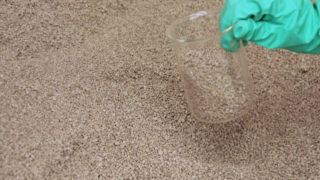 phosphorus fertilizer grain with selective focus