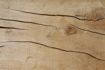 natural wood texture material board