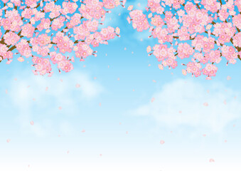 Obraz na płótnie Canvas 満開の桜の花と青空の春らしいベクター素材