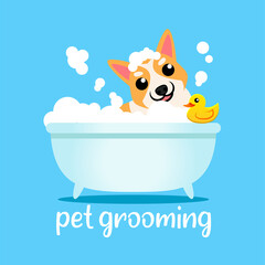 pet grooming cartoon illustration