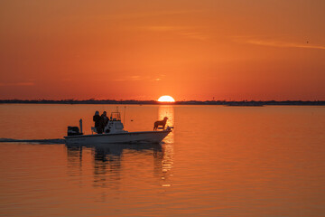 Silhouette of a dog on a boat at sunset 