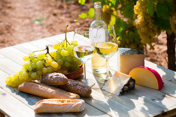 Two wineglasses of white wine with baguette, various types of cheese on vineyard background