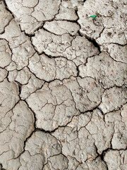 cracked earth texture