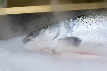 Fish are sold on display in a store. Delicious and healthy seafood, frozen. Cooled steam