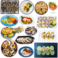 Set of various plates of seafood isolated on white background