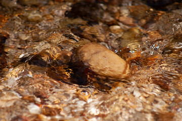 Rock in creek.