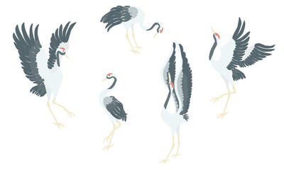 Japanese Cranes