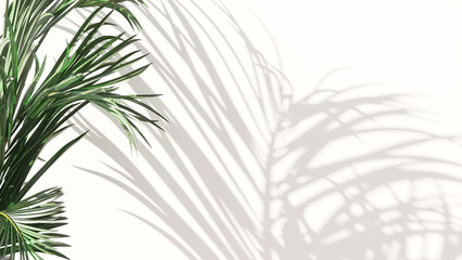 Tropical green house plants casting shadow on clean outdoor white wall. 3D render for nature backdrop, blank wall background banner, sun and shadow, interior and garden design decoration.