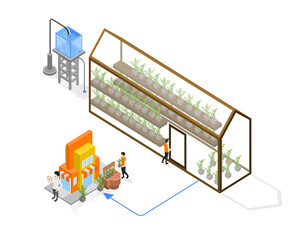 Isometric style illustration of cannabis farming in greenhouse