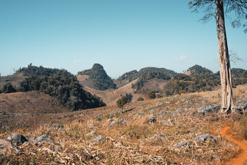 Desolate-The trees and the ground are dry during the day