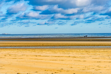 Horses Sulkies Utah D-day Landing Beach Normandy France
