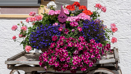 Fototapeta na wymiar Traditional flowered composition at the Alps and Dolomites. Colorful flowers on a vintage wooden cart. Summer time. Mix of flowers and colors. General contest of the European Alps