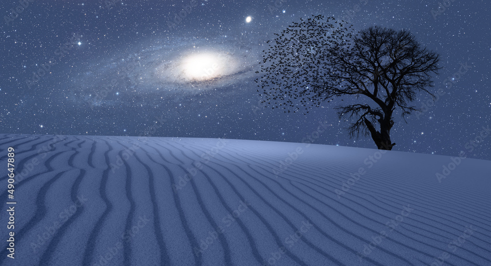 Aufkleber Lone tree with amazing Andromeda  Galaxy at sunset 