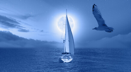 Lone yacht with Full Moon and seagull "Elements of this image furnished by NASA "