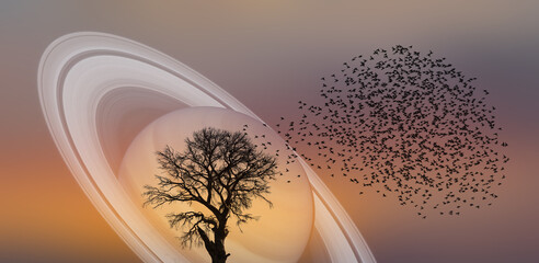 Silhouette of many birds flyin over lone tree with Saturn planet at amazing sunset 