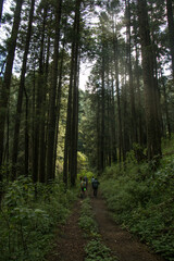 nature