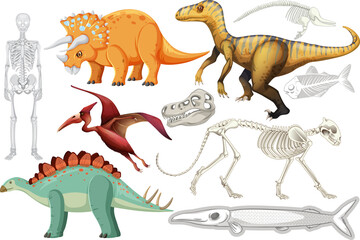 A set of dinosaur and fossil