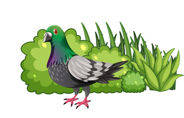 Pigeon bird standing by the bush
