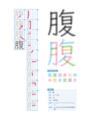 書き順_小学6年_腹（ふく、はら）_Stroke order of Japanese Kanji