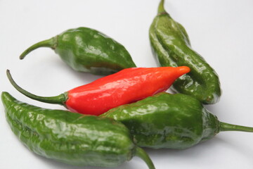 Naga chilis in a white background