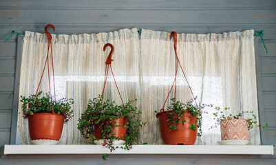 A small window with a curtain and flowers in hanging flower pots. Rustic style.