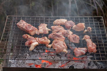 The meat is grilled on a metal grill over charcoal grill to be cooked. It's a fun BBQ during the holidays and out camping with the family. Barbecuing is a popular dish during celebrations and camping. - obrazy, fototapety, plakaty