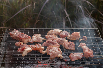 The meat is grilled on a metal grill over charcoal grill to be cooked. It's a fun BBQ during the holidays and out camping with the family. Barbecuing is a popular dish during celebrations and camping. - obrazy, fototapety, plakaty