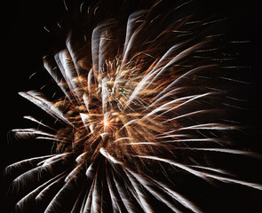 Fireworks in the black sky.