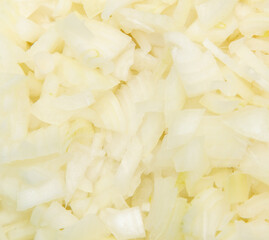 Sliced onion as a background.