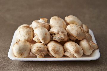 Mushrooms on a gray background