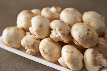 Mushrooms on a gray background