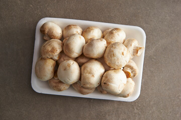 Mushrooms on a gray background