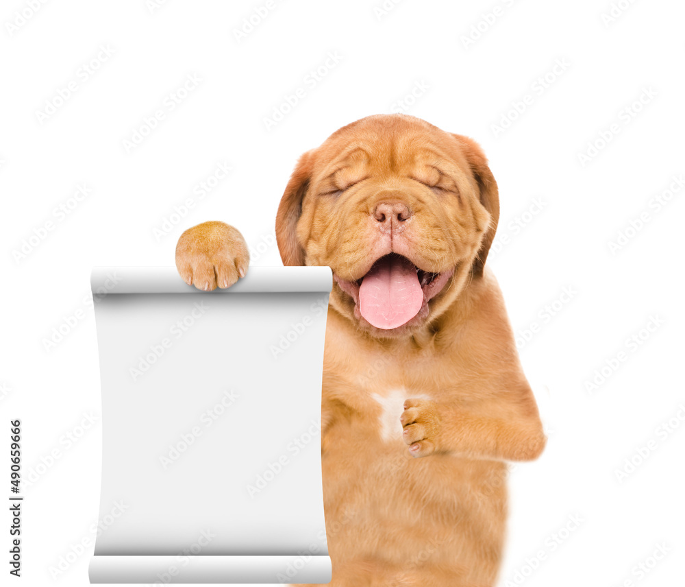 Poster yawning mastiff puppy shows empty list. isolated on white background