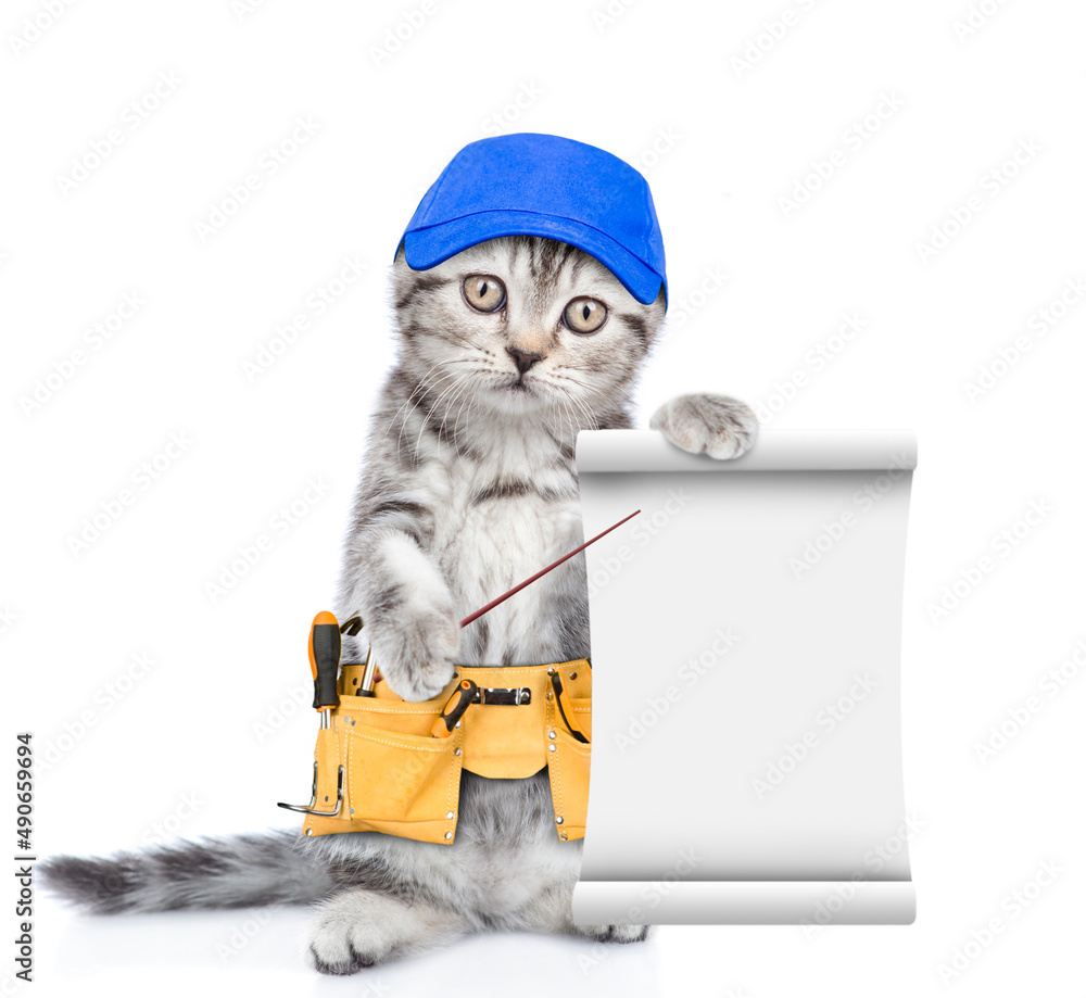 Poster Funny cat wearing blue cap and toolbelt holds empty list.  Isolated on white background