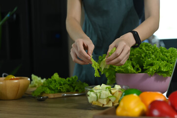 Cropped shot young woman making healthy salad from fresh vegetables.