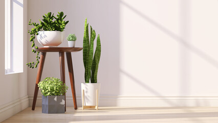 Variety of easy care and air purify indoor tropical house plants in white wall room with sunlight from window casting shadow on wood floor. 3D render for home garden interior decoration background. - obrazy, fototapety, plakaty
