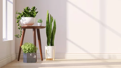 Tuinposter Variety of easy care and air purify indoor tropical house plants in white wall room with sunlight from window casting shadow on wood floor. 3D render for home garden interior decoration background. © myboys.me