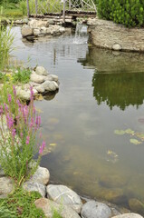 Garden pond. Pond in landscape design.
